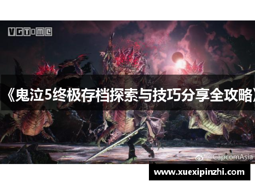 《鬼泣5终极存档探索与技巧分享全攻略》